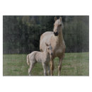 Recherche de poulain planches à découper Chevaux