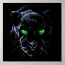 Recherche de black panthers posters Animal