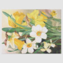 Search for yellow daffodil tissue paper Watercolor
