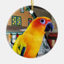 Search for conure ornaments Parrot