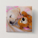 Search for cuddles buttons Baby