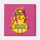 Recherche de choix magnets Politique