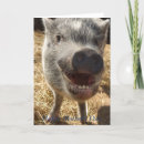 Search for pig mothers day cards Mom