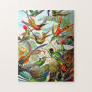 Search for hummingbird puzzles Colourful