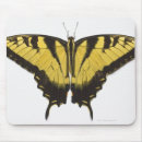 Recherche de queue tapis souris Animaux