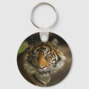 Recherche de yeux de tigre porteclés Animal