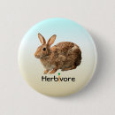 Recherche de herbivore badges Lapin