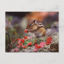 Recherche de brouiller cartes postales Adorable