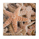 Search for dead tiles Starfish