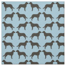 Recherche de chesapeake Retriever
