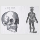 Search for skull tissue paper Vintage
