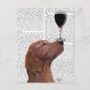 Recherche de setter cartes postales Vin