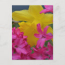 Recherche de timide cartes postales Fleur