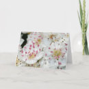 Search for beltane cards Mayday