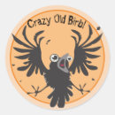 Search for funny raven stickers Bird