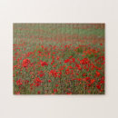 Recherche de coquelicots puzzles Nature