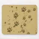 Recherche de traces tapis souris Loup