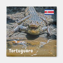Search for aggression magnets Wildlife