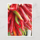 Recherche de piment rouge posters Plante