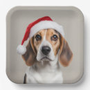Search for beagle plates Funny