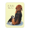 Recherche de petit chien magnets Pour elle