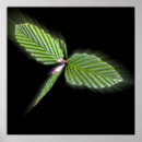 Recherche de libellule art Fleur