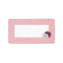 Recherche de divin Rose