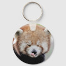 Recherche de nature photography accessoires Animal