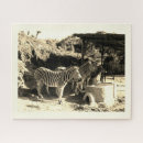 Recherche de zèbre puzzles Zoo