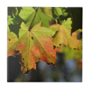 Recherche de chute carreaux Feuille