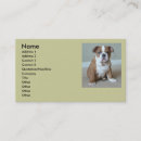 Recherche de bouledogues anglais cartes visite Chiot