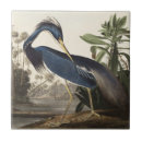 Search for heron tiles Birds of america