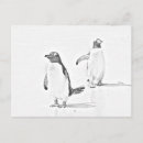 Search for adult colouring postcards Stress relief
