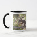 Search for cones mugs Outdoors