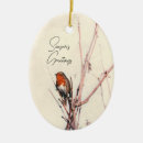 Search for robin ornaments Nature