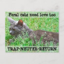 Recherche de chat sauvage cartes postales Chats sauvages