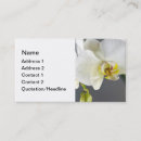 Recherche de orchidées blanches cartes visite Floral