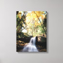 Search for hampshire canvas prints Forest