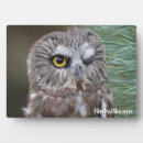 Recherche de hiboux plaques Ornithologie