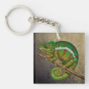Search for chameleon keychains Green