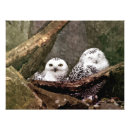 Search for pair art Bird lover
