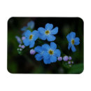 Search for water magnets Blue
