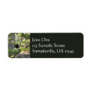 Search for black bears return address labels Forest
