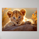 Recherche de nature sauvage posters Mignon