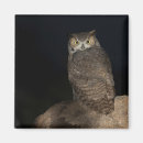 Search for back yard magnets Animal