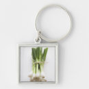 Search for spring pictures keychains White