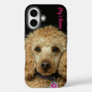 Search for funny poodle iphone cases Cute