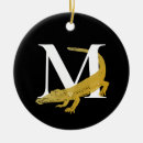 Search for alligator ornaments Florida