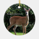 Recherche de cerf ornements Faune
