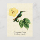 Search for collars postcards Vintage